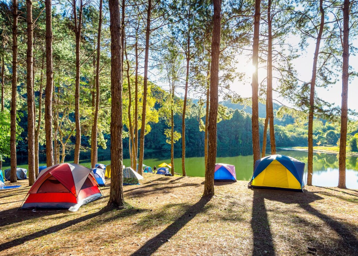 Une expérience immergée dans la nature: Camping avec Horepay